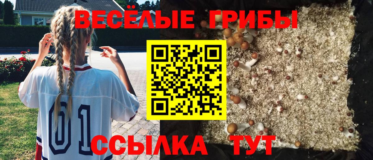 Псилоцибиновые грибы Cubensis  Галлюциногенные грибы Cubensis  Ивантеевка  Вход с VPN 