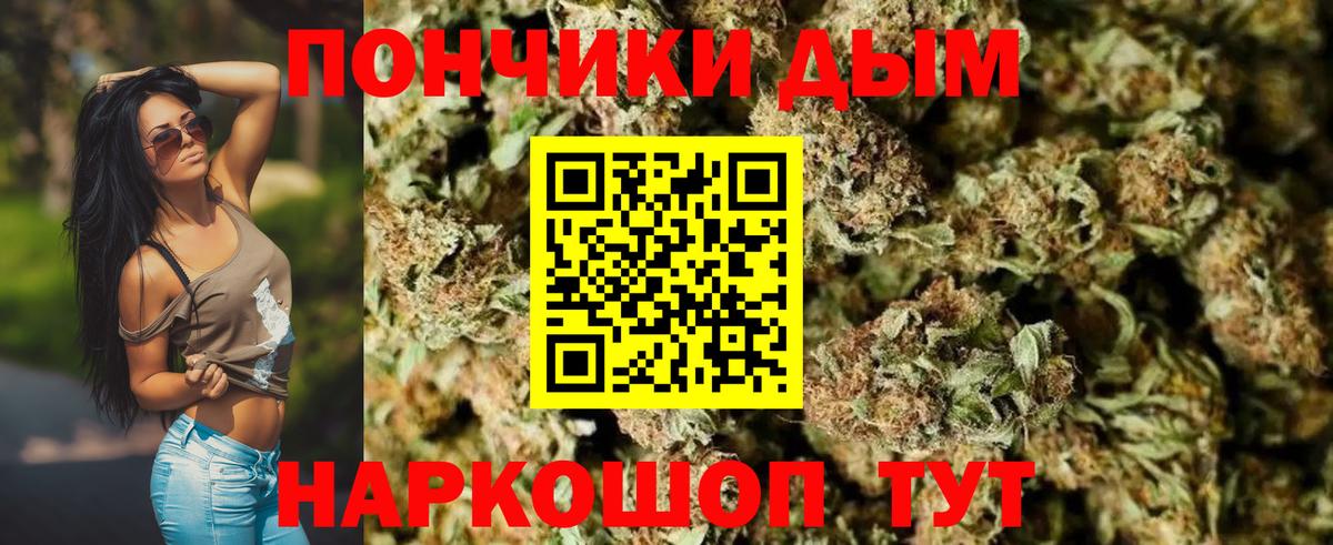 Конопля сатива Ивантеевка